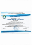 Сертификат участника РМО с показом открытого занятия "путешествие в сказочную страну"